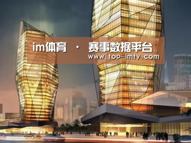 案例展示三