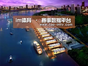 案例展示八
