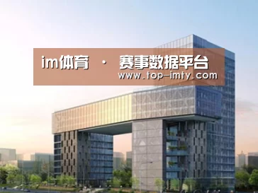 案例展示四