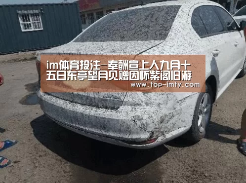 im体育平台