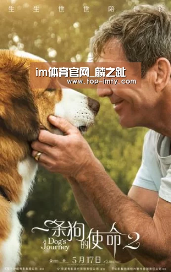 im体育官网