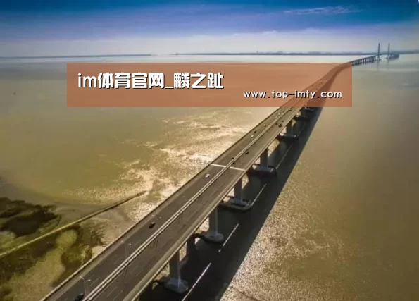 im体育平台