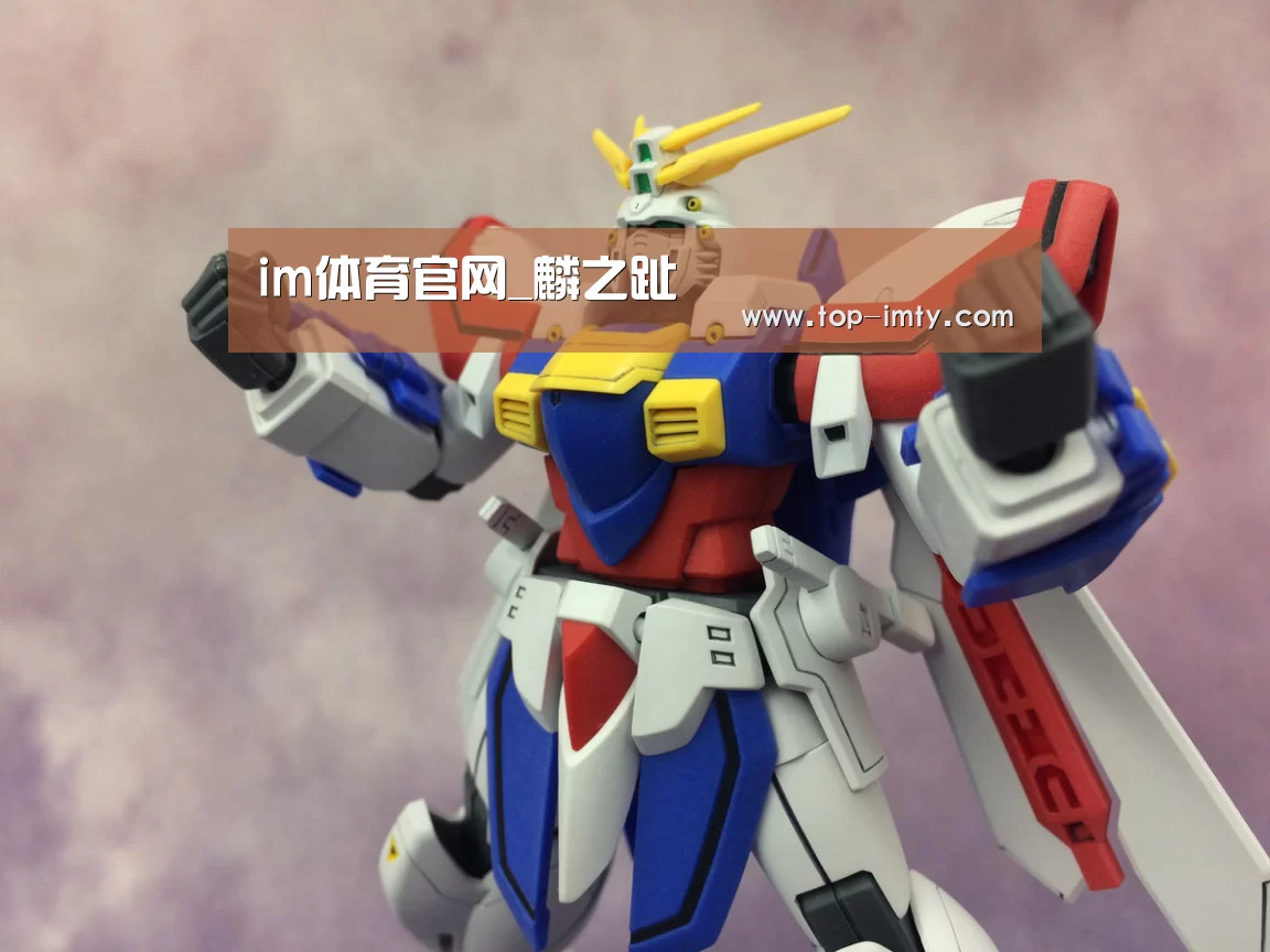 im体育APP