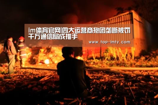 im体育平台