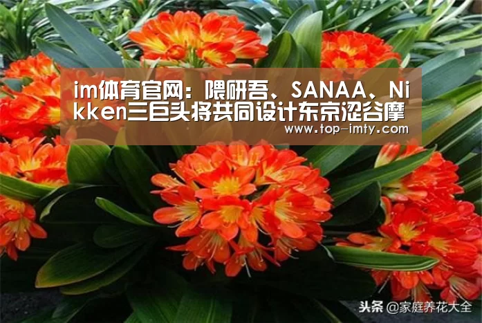 im体育投注