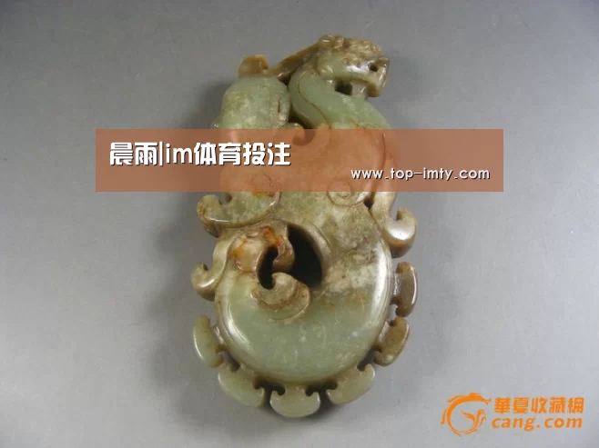 im体育投注