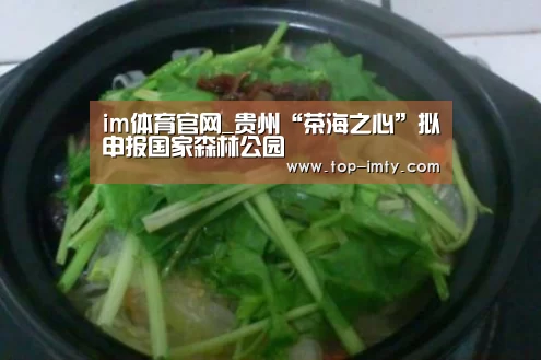 im体育官网