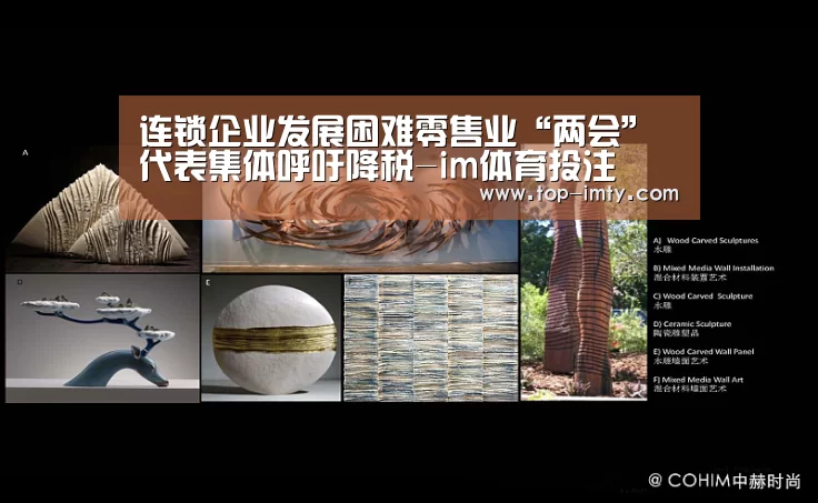 连锁企业发展困难零售业“两会”代表集体呼吁降税-im体育投注(图4) im体育官网